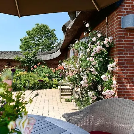 Friesenrose
